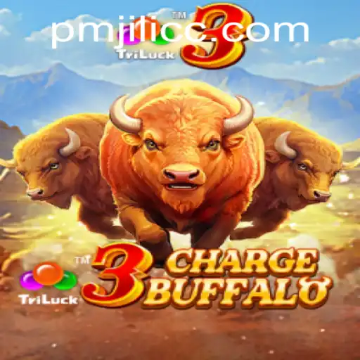 An In-Depth Look at 3ChargeBuffalo